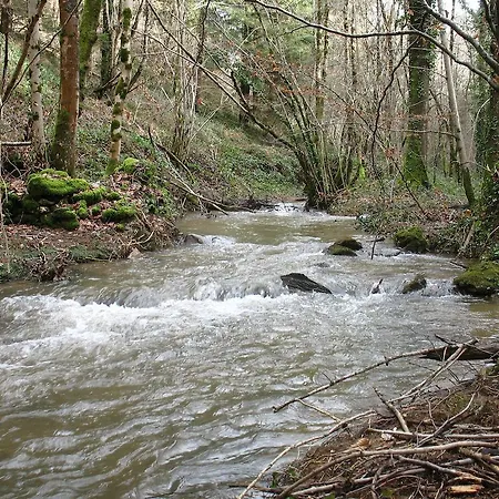 Le Moulin Du Barthas Panzió Montredon-Labessonnié