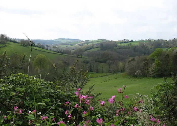 Le Moulin Du Barthas 3* 몽트레동라베종니