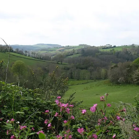 Le Moulin Du Barthas 3* Montredon-Labessonnié
