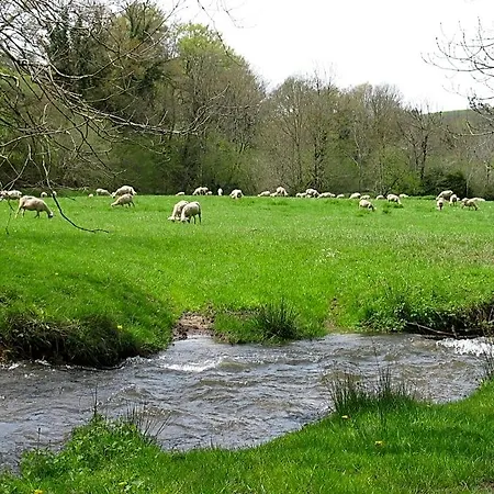 Le Moulin Du Barthas Bed & Breakfast Montredon-Labessonnie