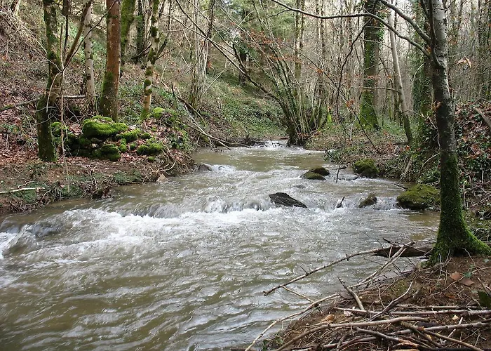 Le Moulin Du Barthas Frühstückspension Montredon-Labessonnié