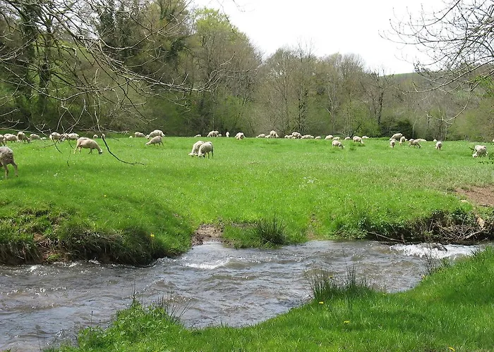 Le Moulin Du Barthas Frühstückspension